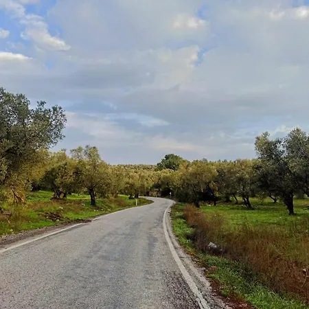 Vakantiehuis Mutlu Koey'de Sakinligin Adresi Ayvalı